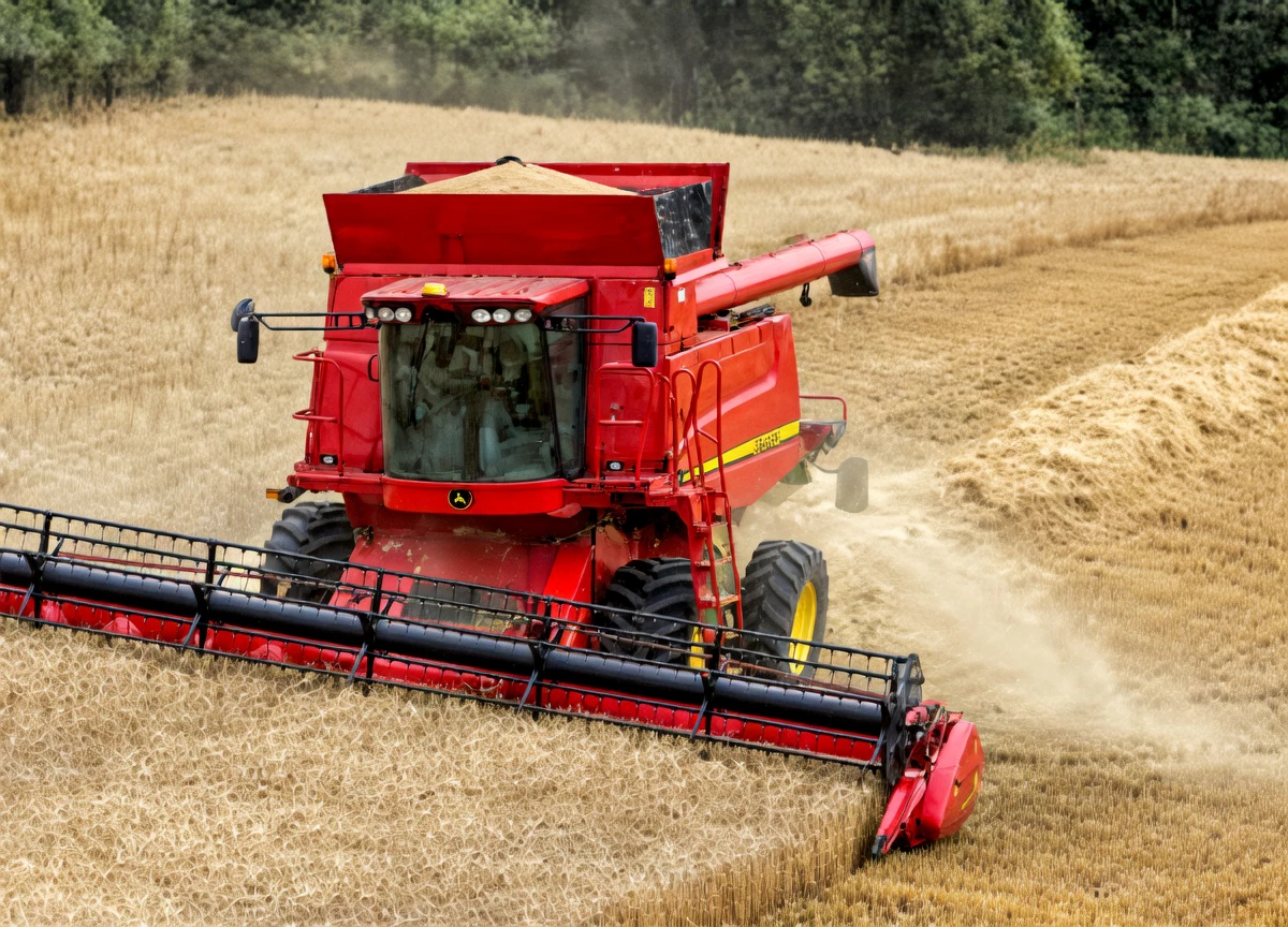 Driven sprocket on grain harvester chain drive in Australian broadacre farming